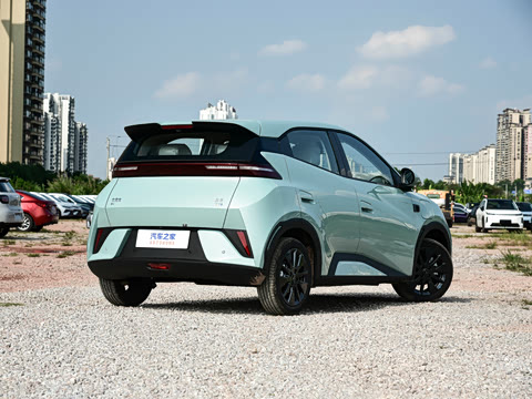 2026�� 305km ���ɰ�
