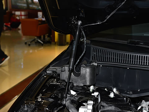 2025�� �Ŀ�  2.0T PHEV ����200��������� 6��