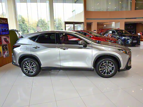 2025�� 400h+ PRIME