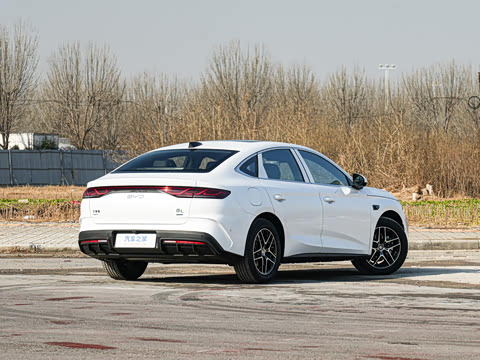 2026�� DM-i 170KM��Խ��