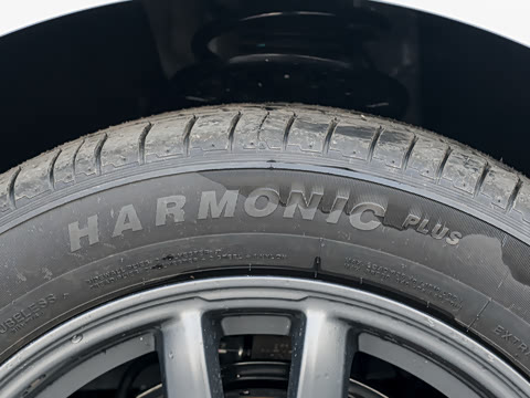 2026�� 565������