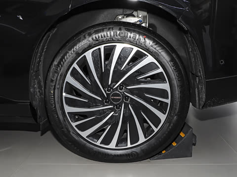 2025�� ���� 265 Max��������������ʻ