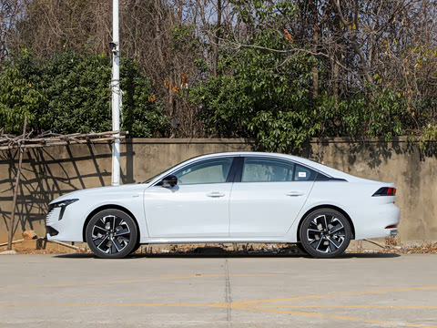 2025�� �Ŀ� 508L 400THP Ԧ���콢��