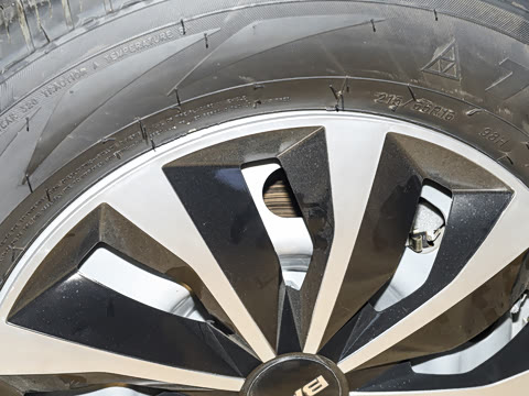 2026�� 2.0L �ֶ����������� 7��