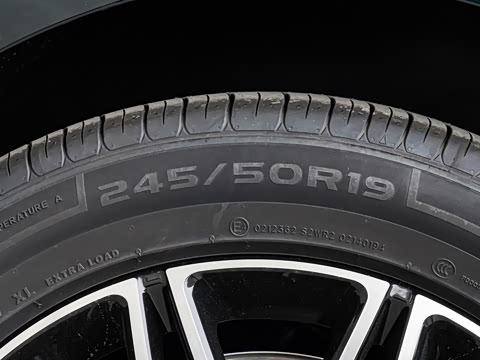 2025�� 260��������������