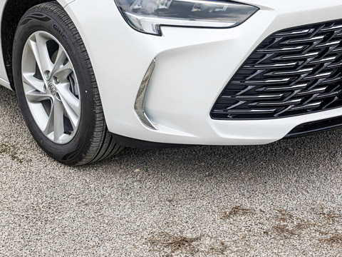 2025�� 25T ������