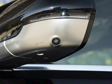 2025�� ���� Max+ ���������� 