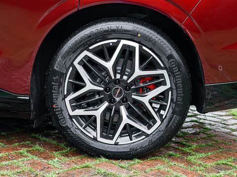 2026�� ���� ����Max��