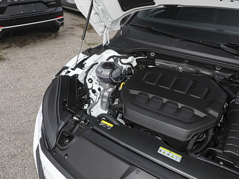 2025�� �Ŀ� 330TSI ��Ŀ ������