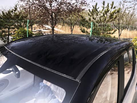 2026�� ����� 301km ���׿�