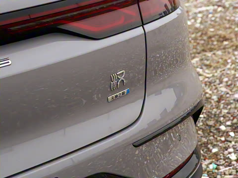 2025�� DM-i �Ǽݰ� 245KM�����