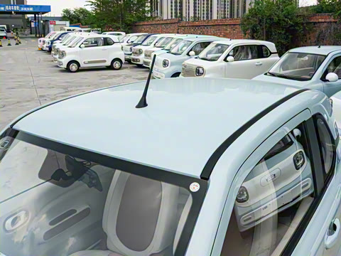 2026�� 222km ������