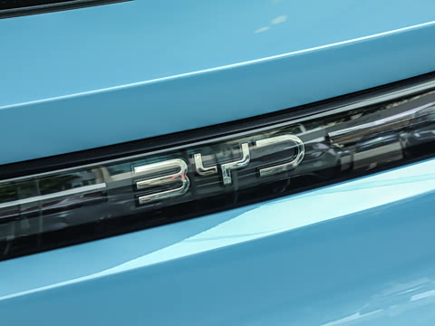 2026�� 620����Max��