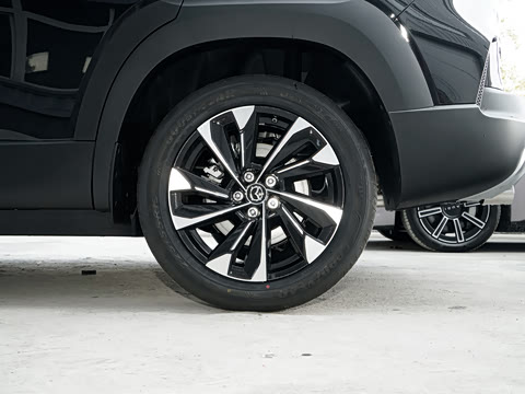 2026�� 2.5L ���а�