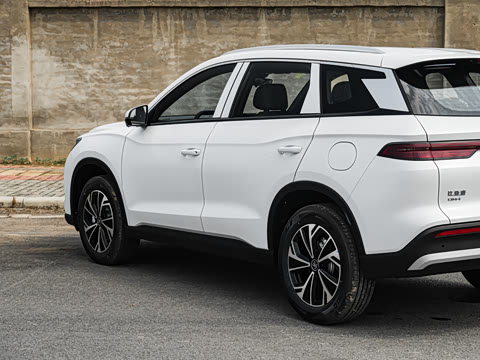 2026�� �ɳ۰� DM-i 220KM������