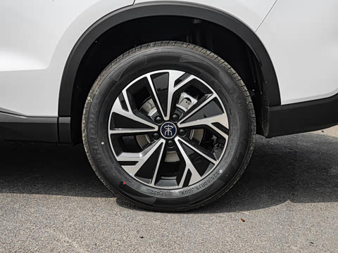 2026�� �ɳ۰� DM-i 220KM������