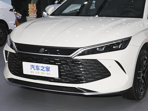 2026�� DM-i 210KM��Խ��