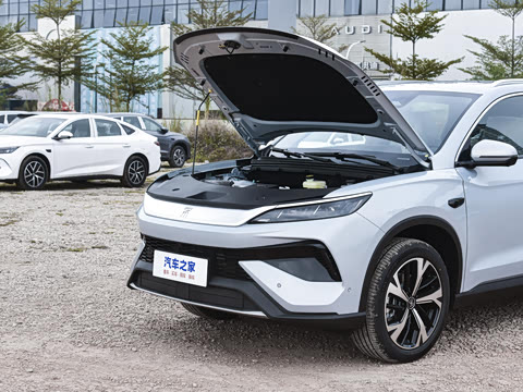 2026�� DM-i 220KM��Խ��