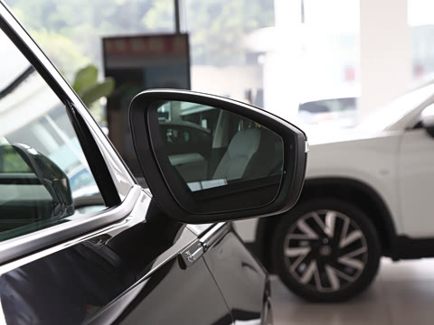 2025�� 380TSI ����R-LineѲ�� ������