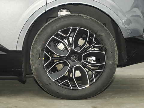 2026�� Elite �����