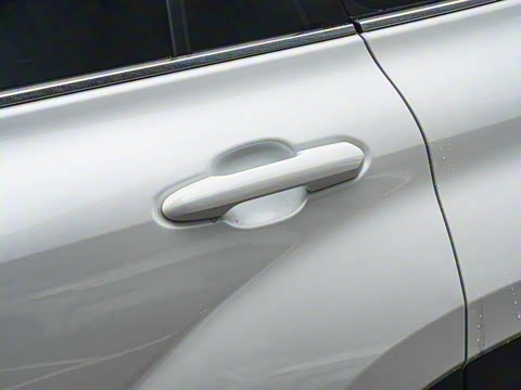 2026�� 2.5L���ܵ��˫���������� 7��