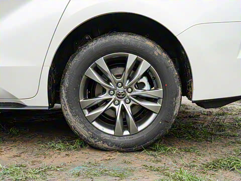 2026�� 2.5L ˫������������