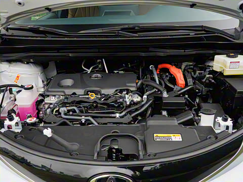 2026�� 2.5L ˫������������