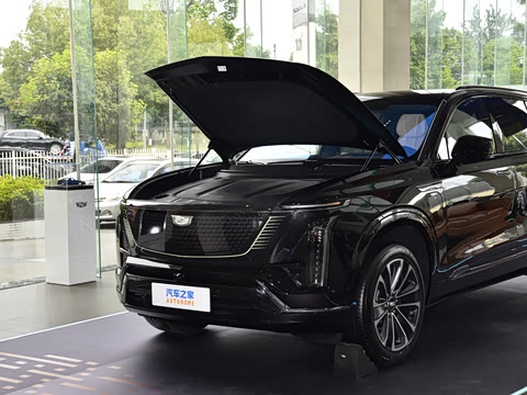 2026�� ����������Pro
