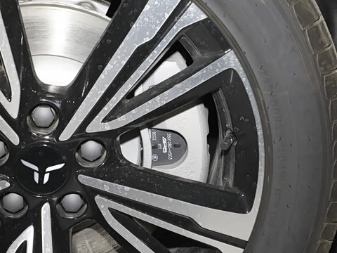 2025�� 600 ��ѡ��