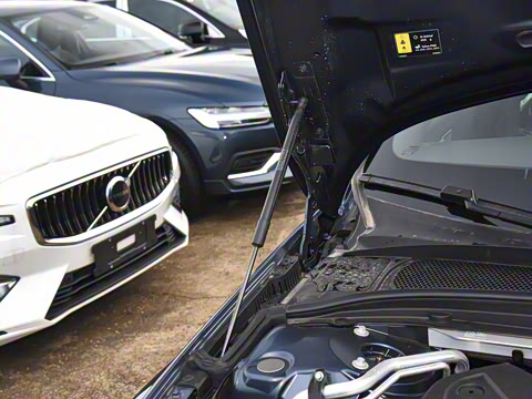 2026�� B4 ��Զ������