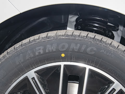 2026�� 520�Ǻ���