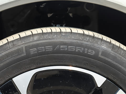 2025�� ���� Pro