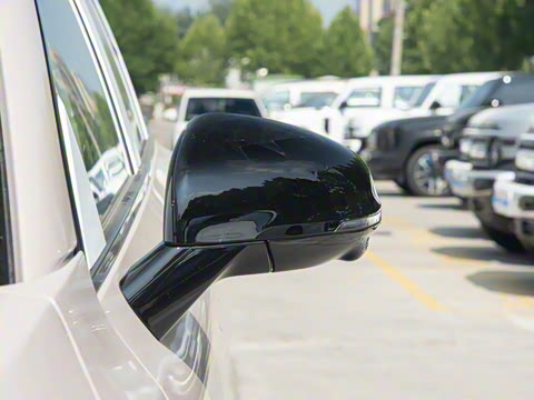 2025�� 550������