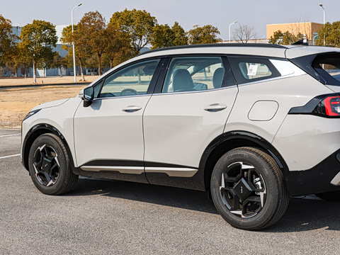 2026�� ����������