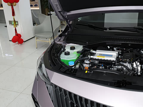 2026�� Ӱ�� 270T ������