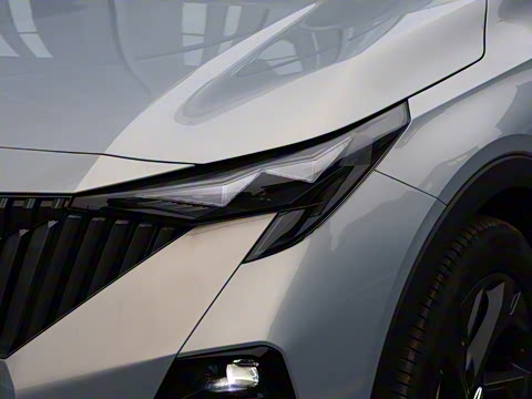 2026�� Ӱ�� 270T ������