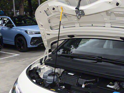 2026�� ������ ���ڰ�