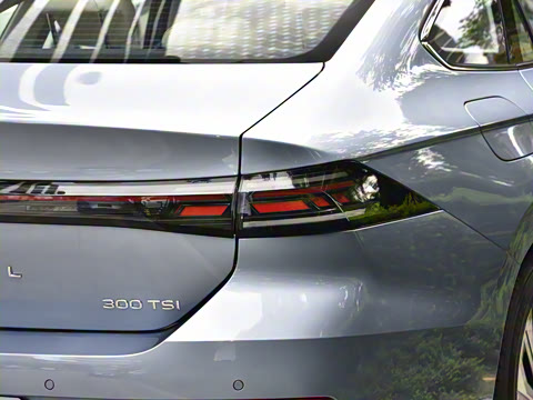 2026�� L 300TSI DSG ������