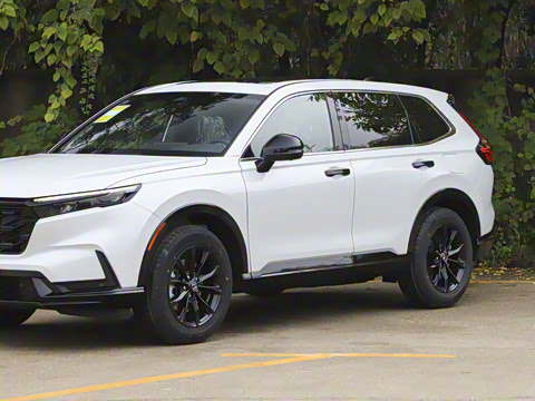 2026�� ȫ��30����ҫ�� 2.0L e:HEV �������