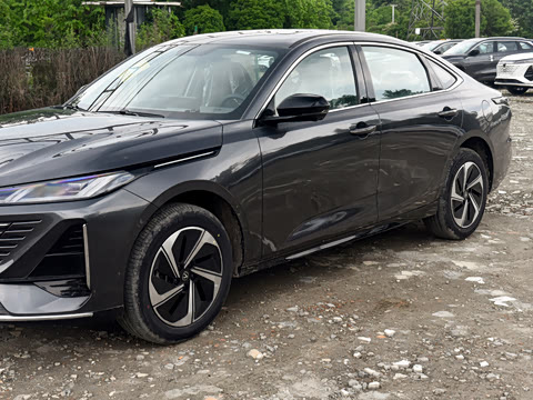 2026�� 1.5L �������� ������