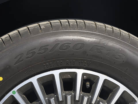 2026�� 1220����Max��