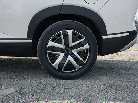 2025�� 150 �캽+��