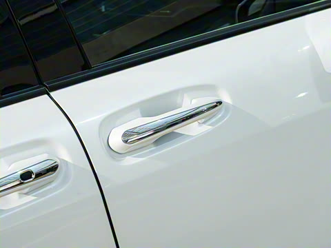 2026�� 2.5L ˫����������