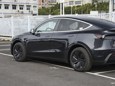 2026�� ����������