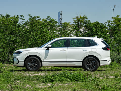 2026�� 240TURBO ������Ӣ�� 5��