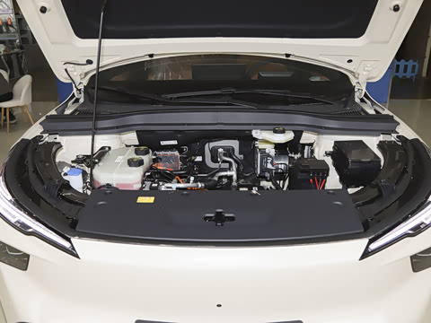 2026�� 565km ������