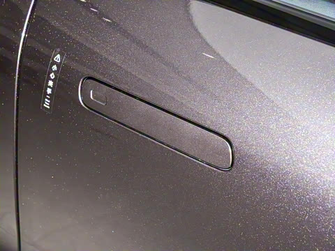 2026��   95������ Max��