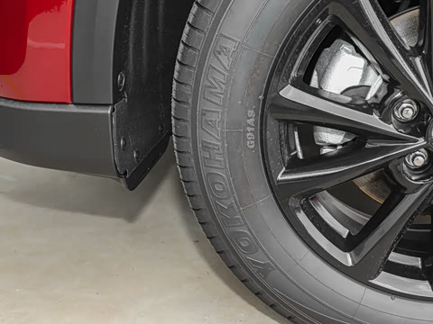 2025�� 2.0L �Զ���������Pro