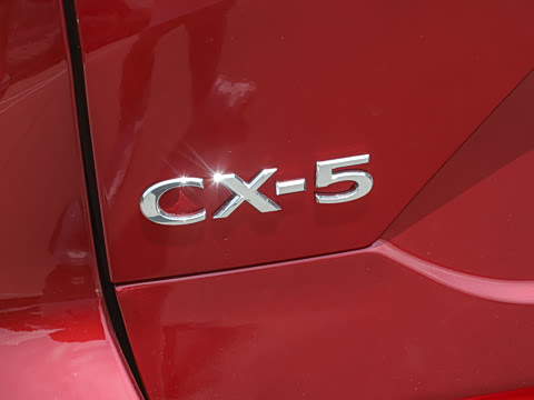 2025�� 2.0L �Զ���������Pro