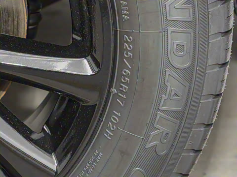 2025�� 2.0L �Զ���������Pro